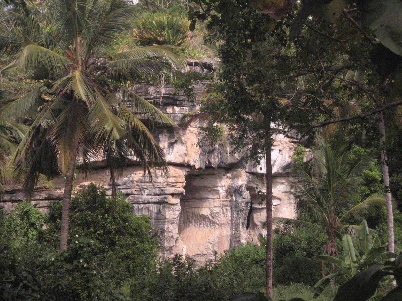 The forested entrance to the Amboni Caves, near Tanga