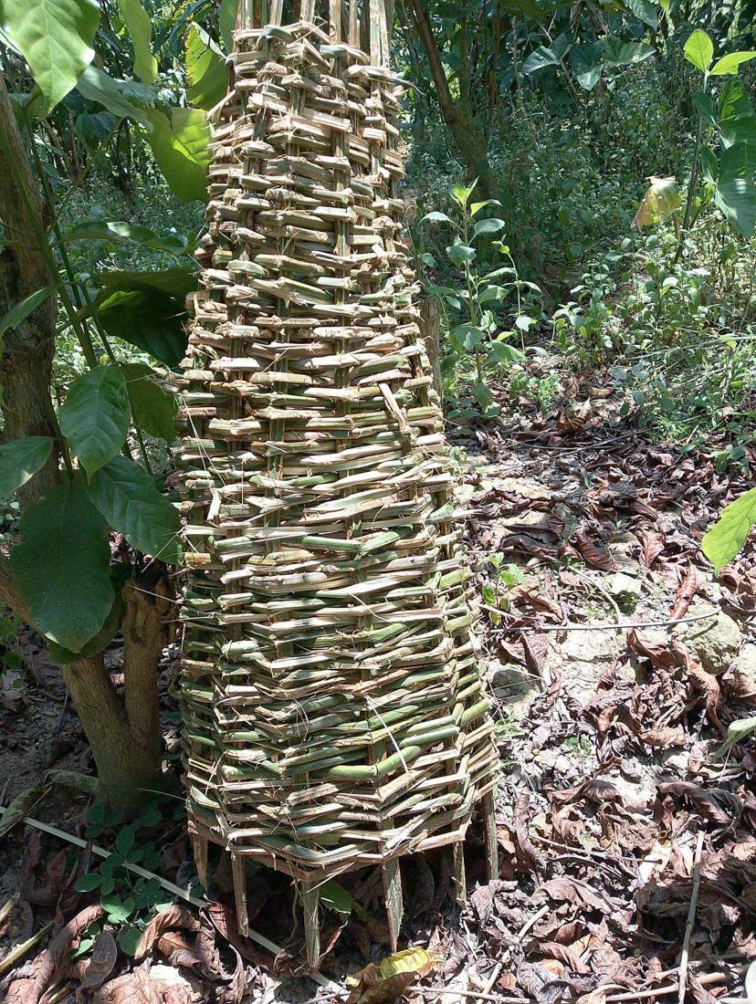 Into the miombo with a Nyamwezi beekeeping camp