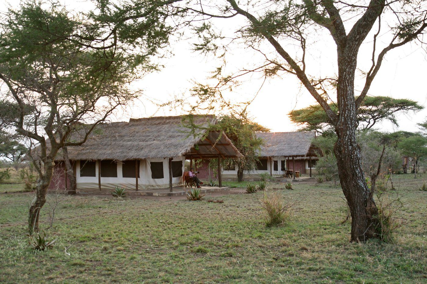 Safari tents on the northern circuit