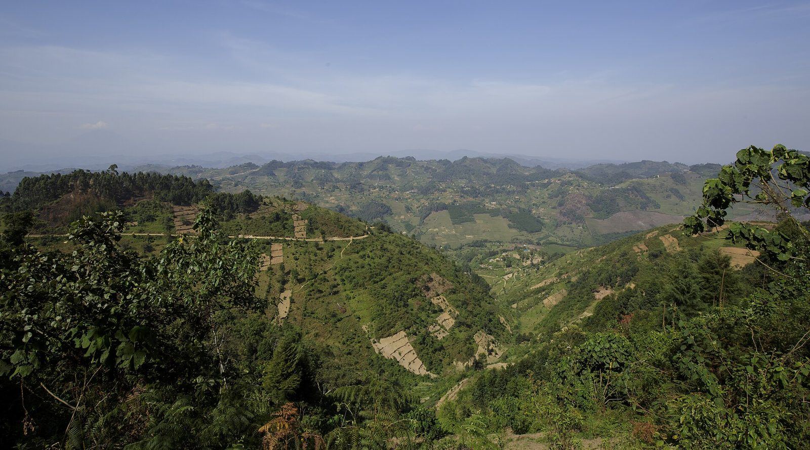Terraced highlands on the road to Bwindi