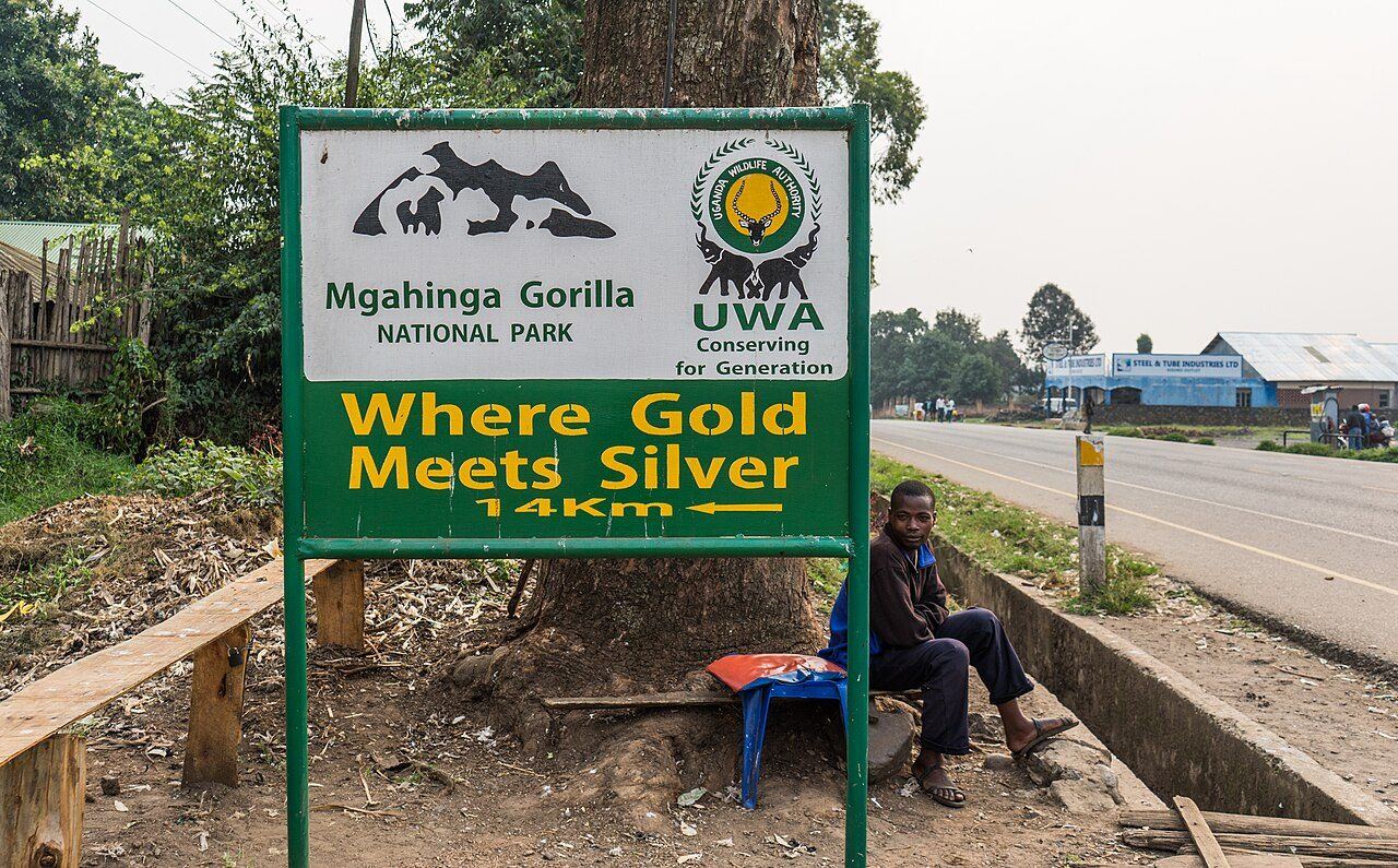 Mgahinga Gorilla National Park on the Virunga volcanoes