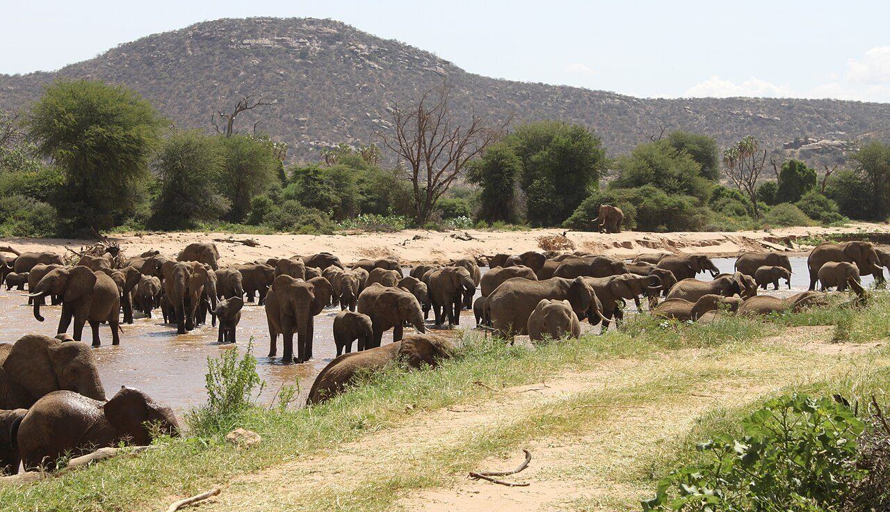 Full day in Samburu