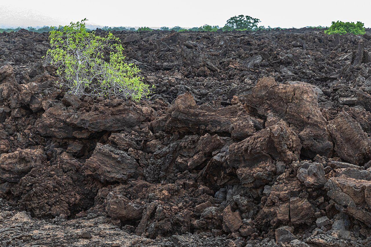 Shetani lava flow, Tsavo West