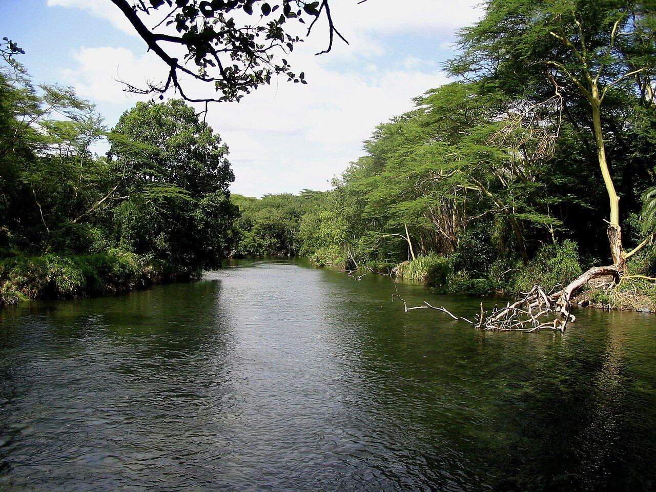 Tsavo River, Tsavo West National Park