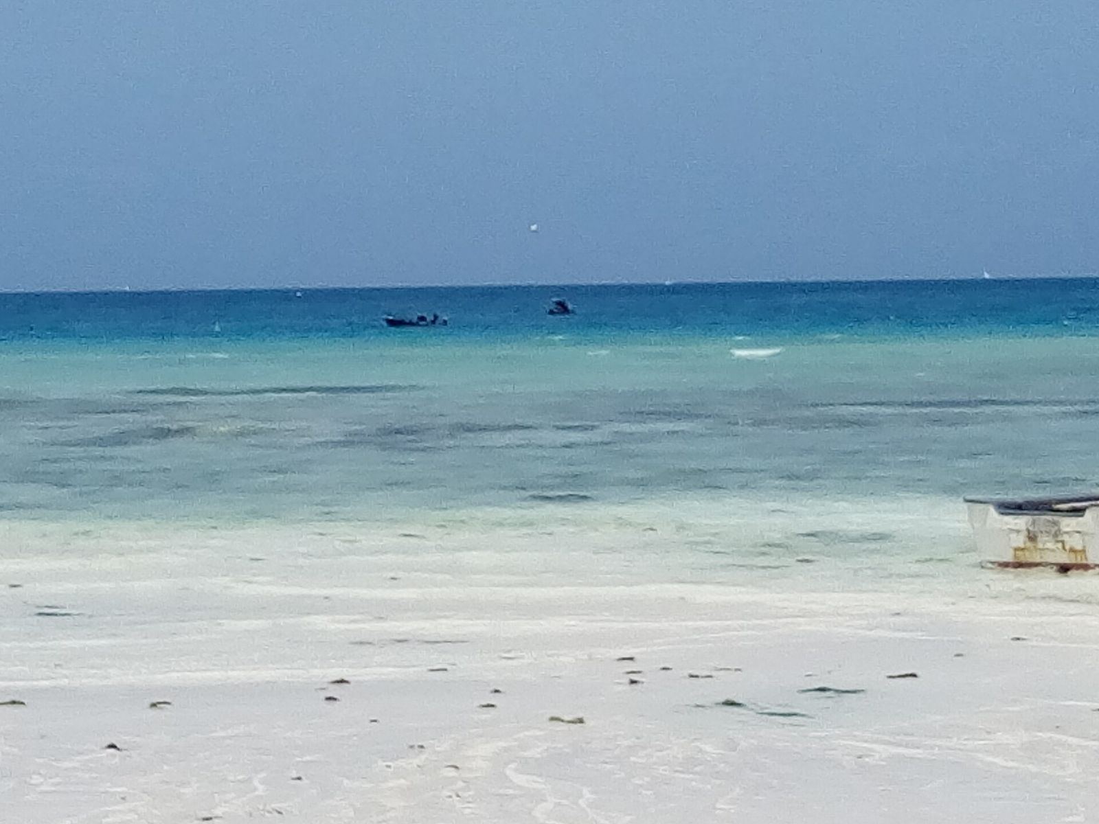 Zanzibar coastline