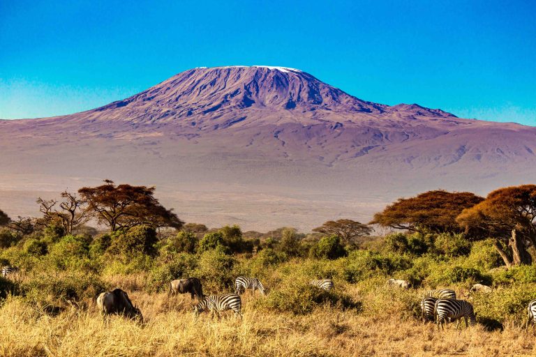 Kilimanjaro over the Amboseli flats