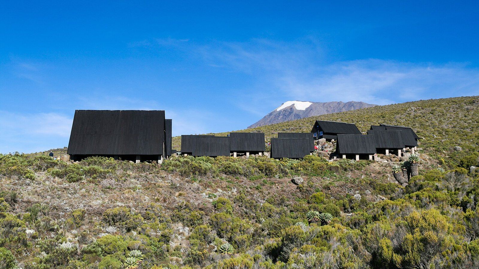 Mandara Hut to Horombo Hut