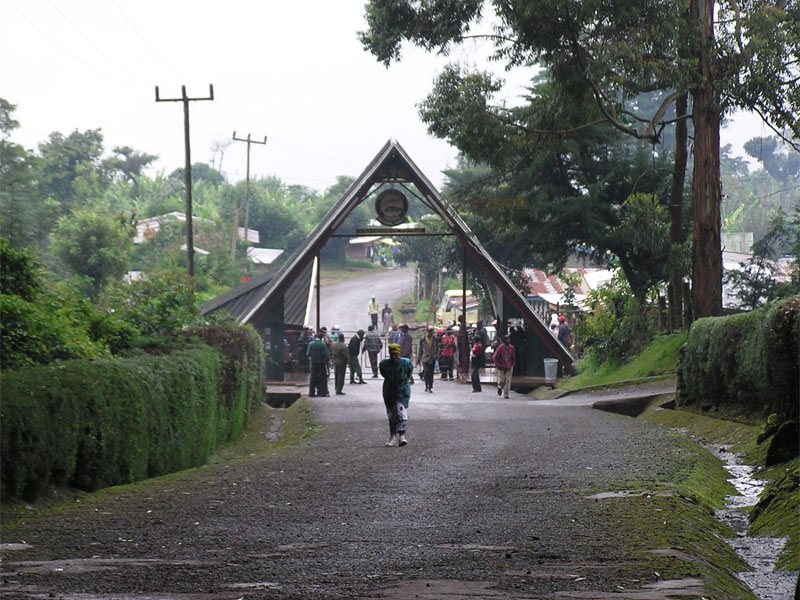 Horombo Hut to Marangu Gate to Arusha