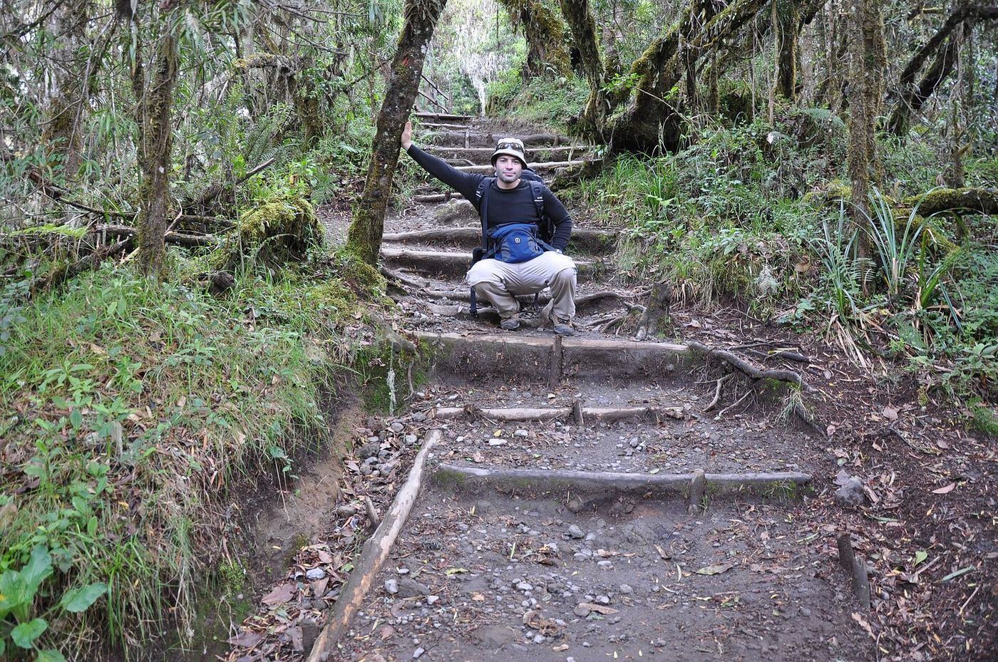 Mweka forest descent