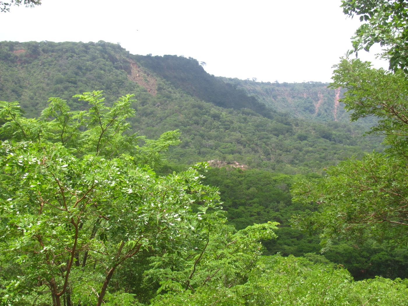Miombo woodland on the Makonde Plateau escarpment, Mtwara Region