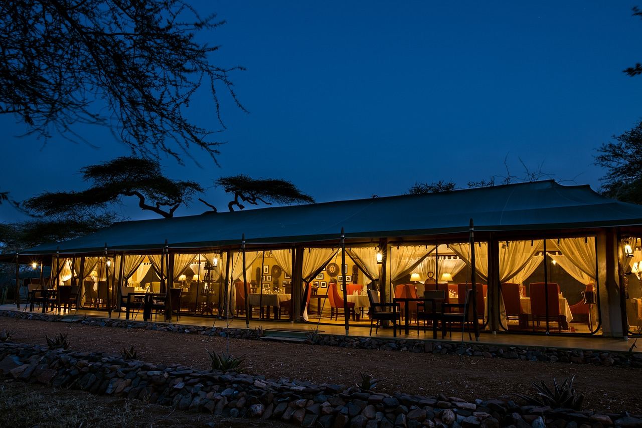 Central Serengeti woodland and plains