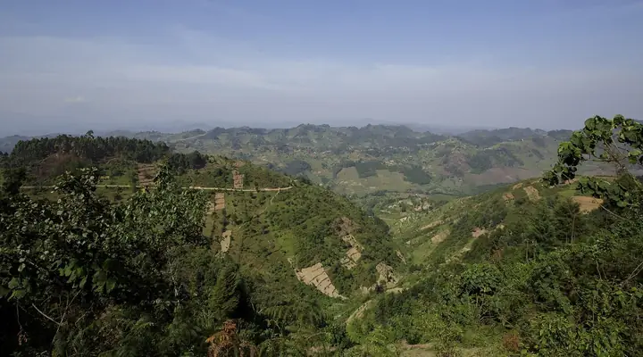 Uganda: Bwindi fly-in