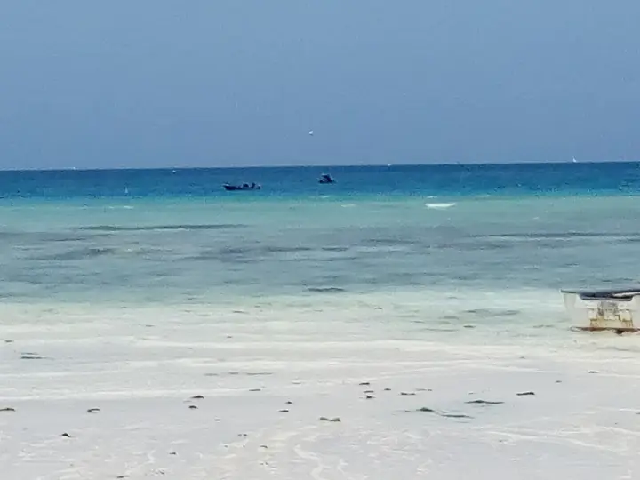 Safari and Zanzibar