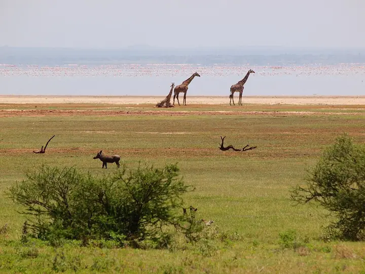 Lake Manyara