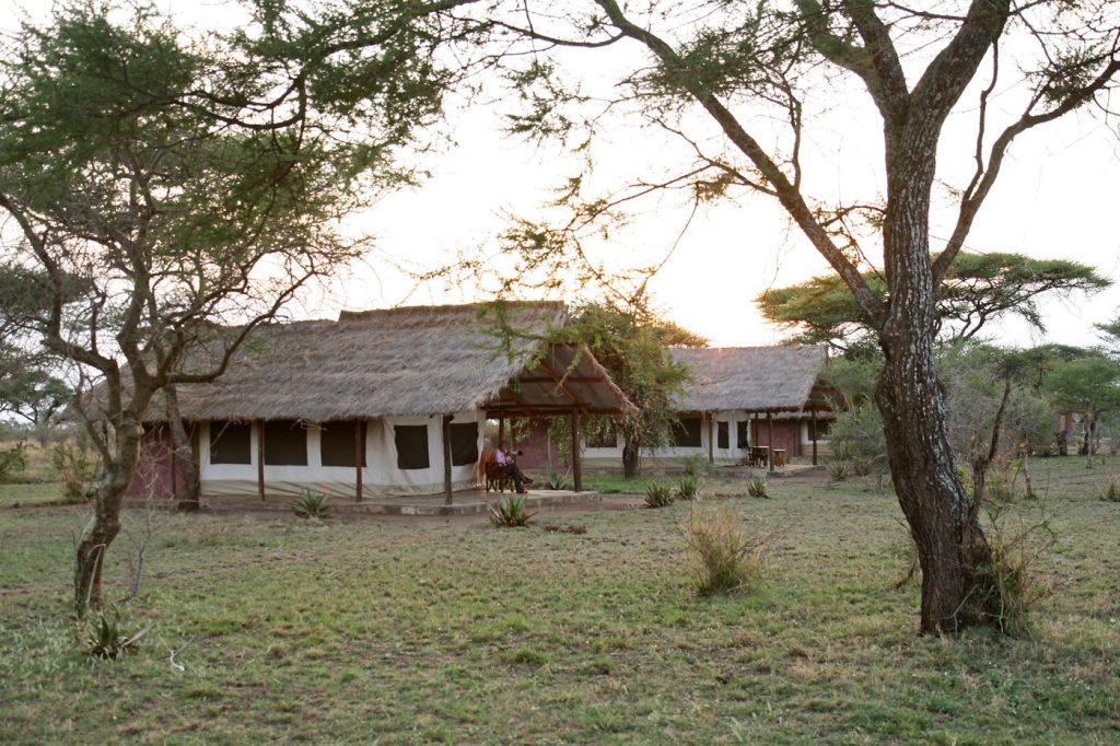 3 Day Camping Safari: Tarangire, Ngorongoro and Manyara