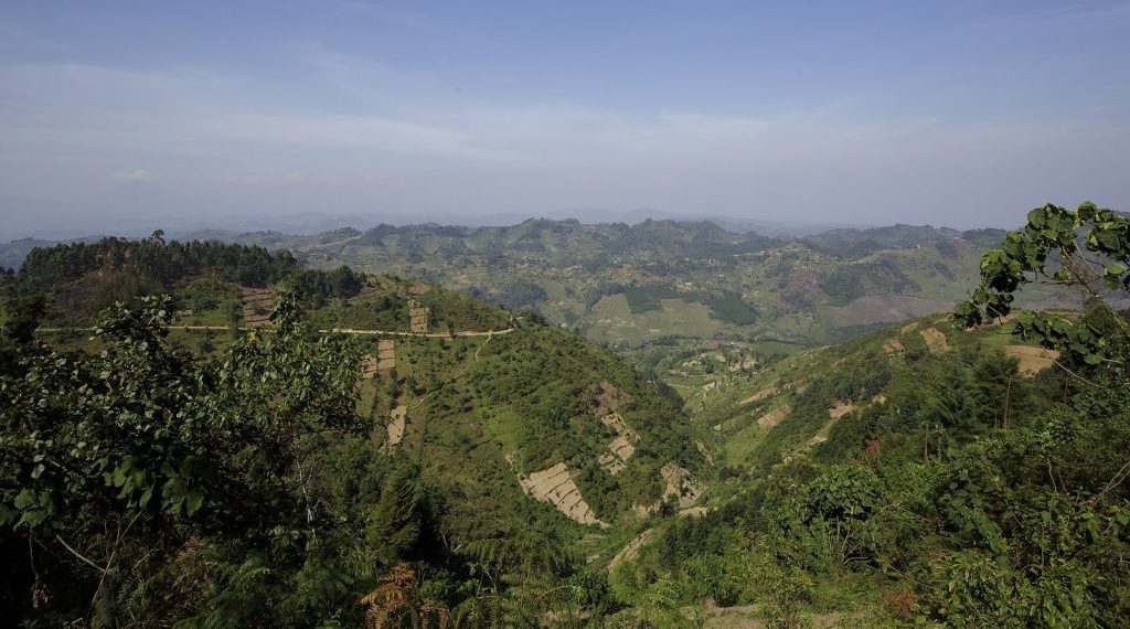 3 Day Uganda Gorilla Trek: Bwindi Fly-in