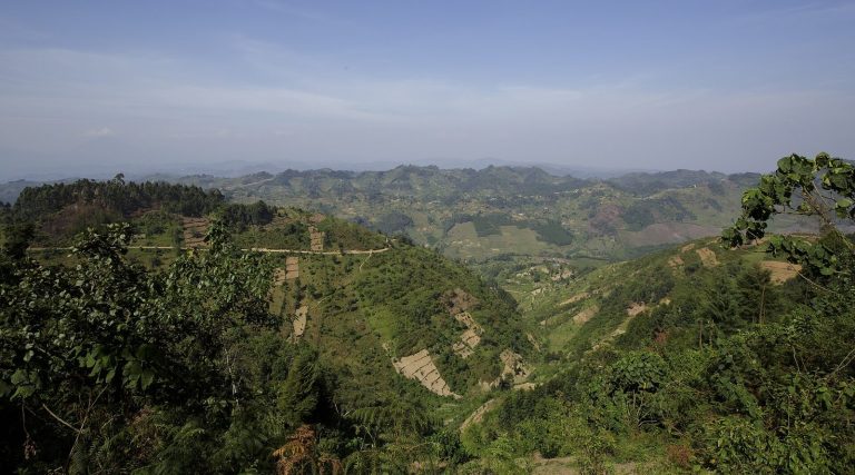 3 Day Uganda Gorilla Trek: Bwindi Fly-in