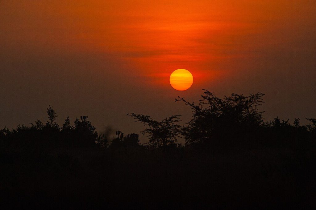 6 Day Uganda: Queen Elizabeth and Bwindi Gorillas