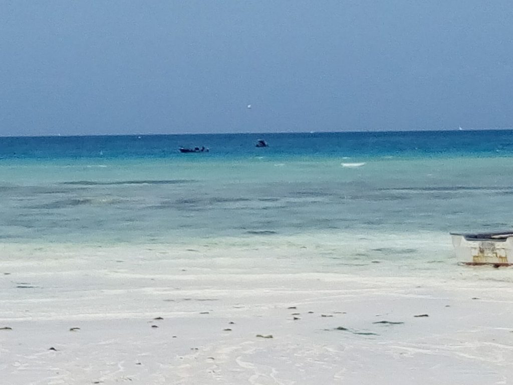 11 Day Tanzania Safari and Zanzibar