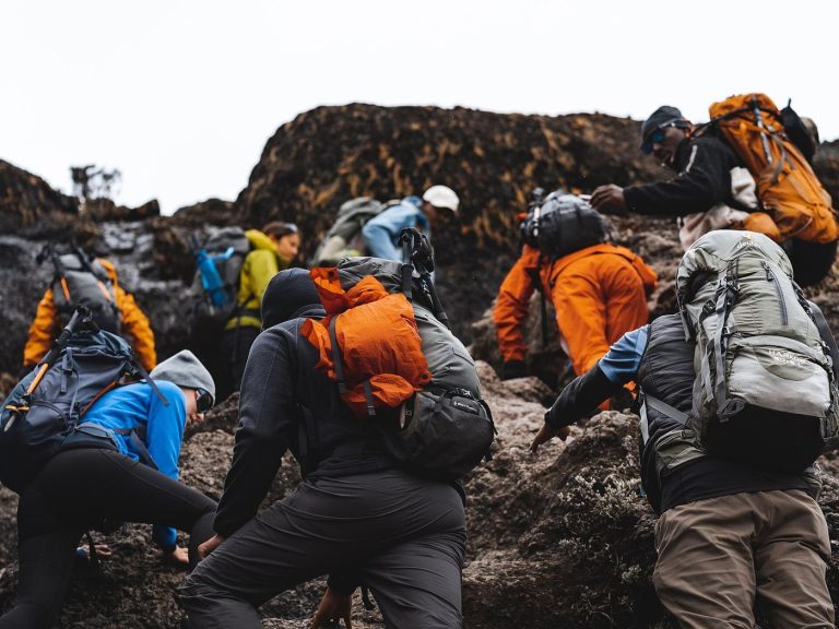 6 Day Kilimanjaro Climb: Machame Route